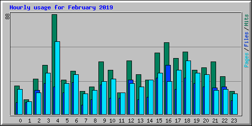 Hourly usage for February 2019