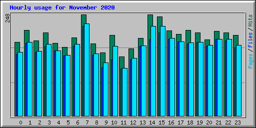 Hourly usage for November 2020
